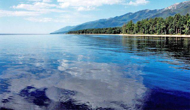 Жироуловитель: думайте сами, решайте сами — иметь или не иметь